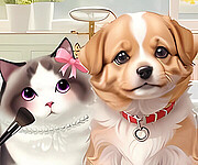 Pet Salon