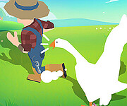 Crazy Goose Simulator