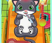 Cat Doctor