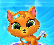 Cute Cat Doctor