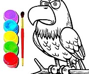 Eagle Coloring Book