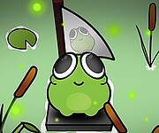 About a Frog