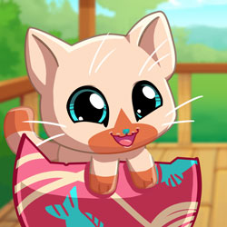 Play Game My Pocket Pets: Kitty Cat
